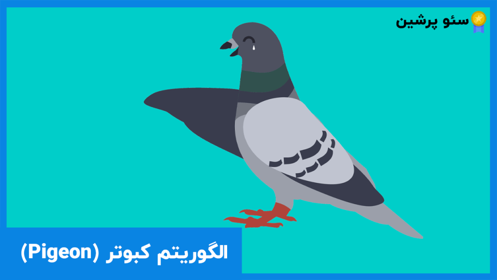 الگوریتم کبوتر (Pigeon) - آموزش سئو حرفه ای